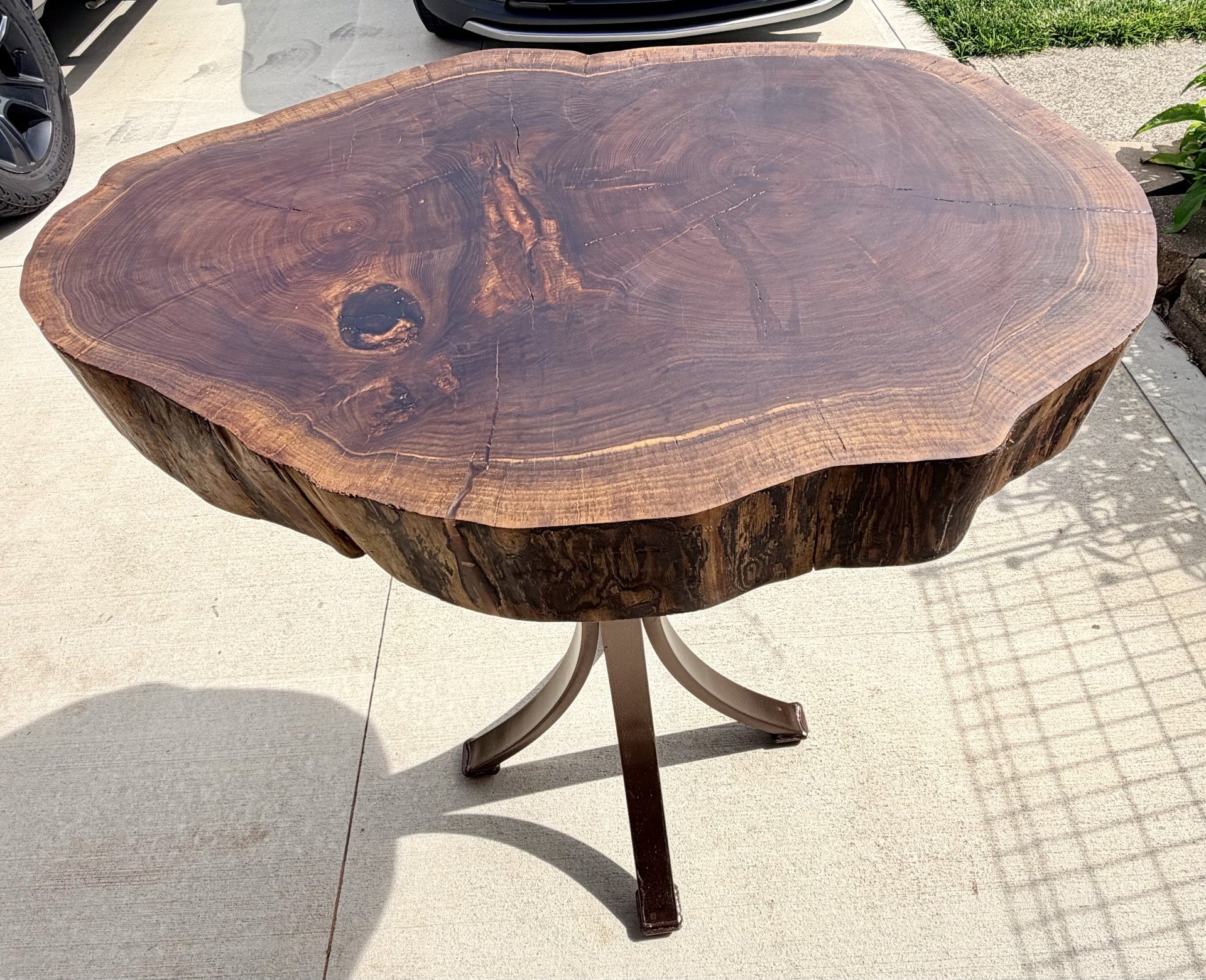 Walnut Cookie Table on Bronze Powder Coated Steel Legs